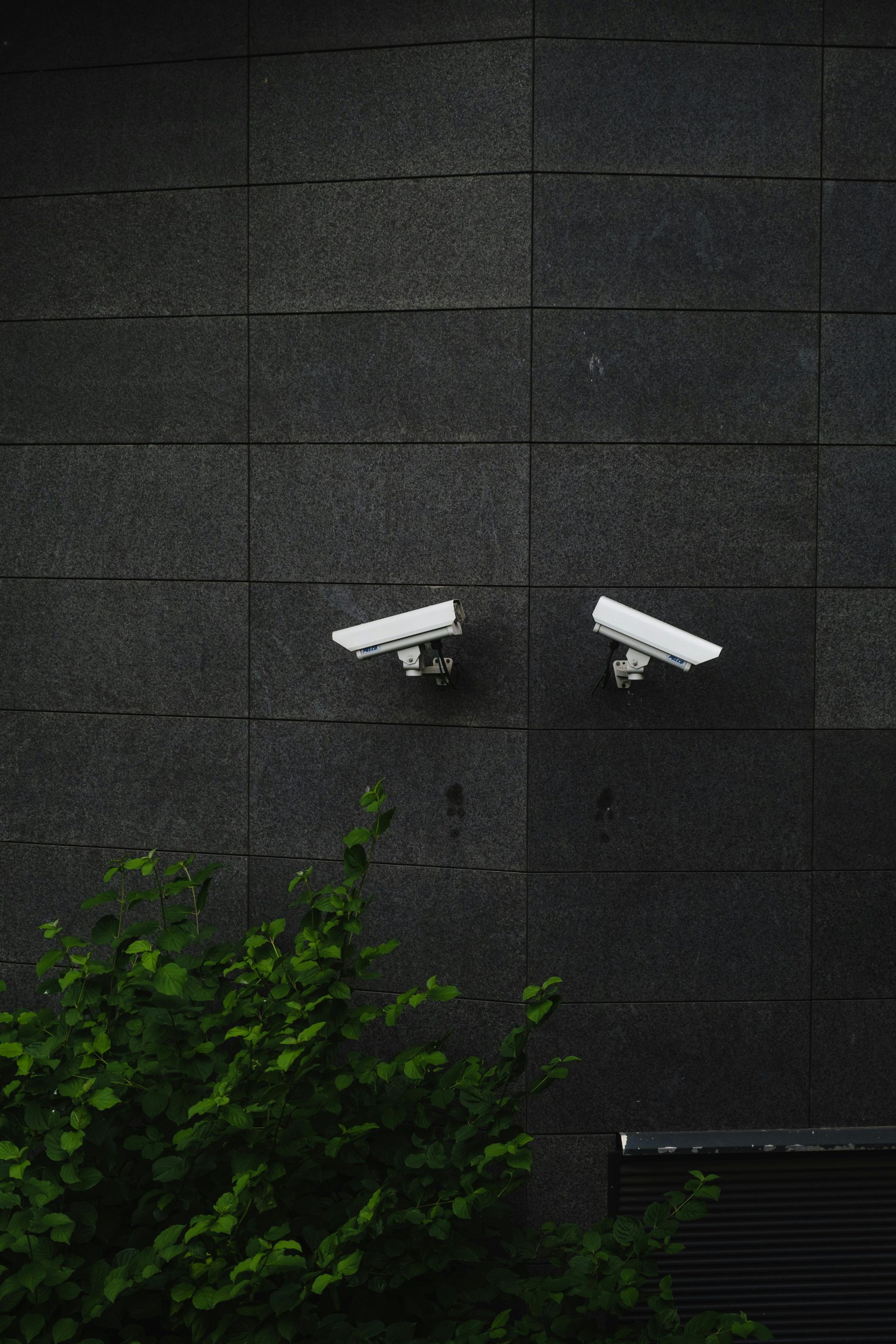 Security Cameras Mounted on the Wall for Surveillance